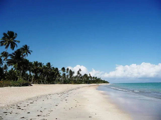 Praia em Sao Miguel dos Milagres